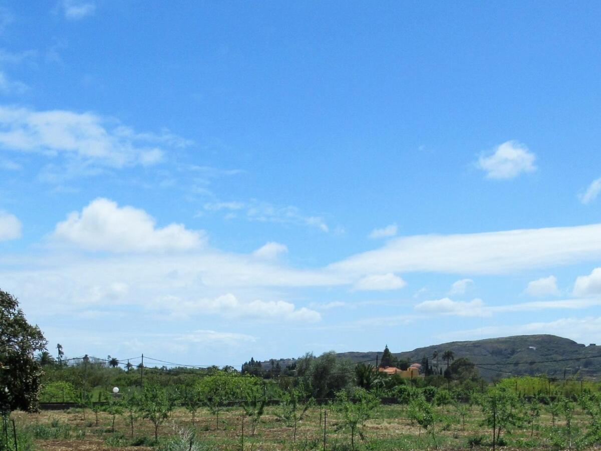 Casa Rural El Alpendre Вега де Сан Матео Экстерьер фото
