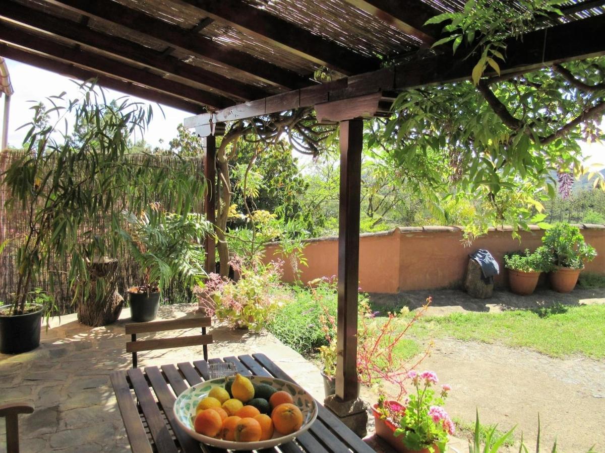 Casa Rural El Alpendre Вега де Сан Матео Экстерьер фото
